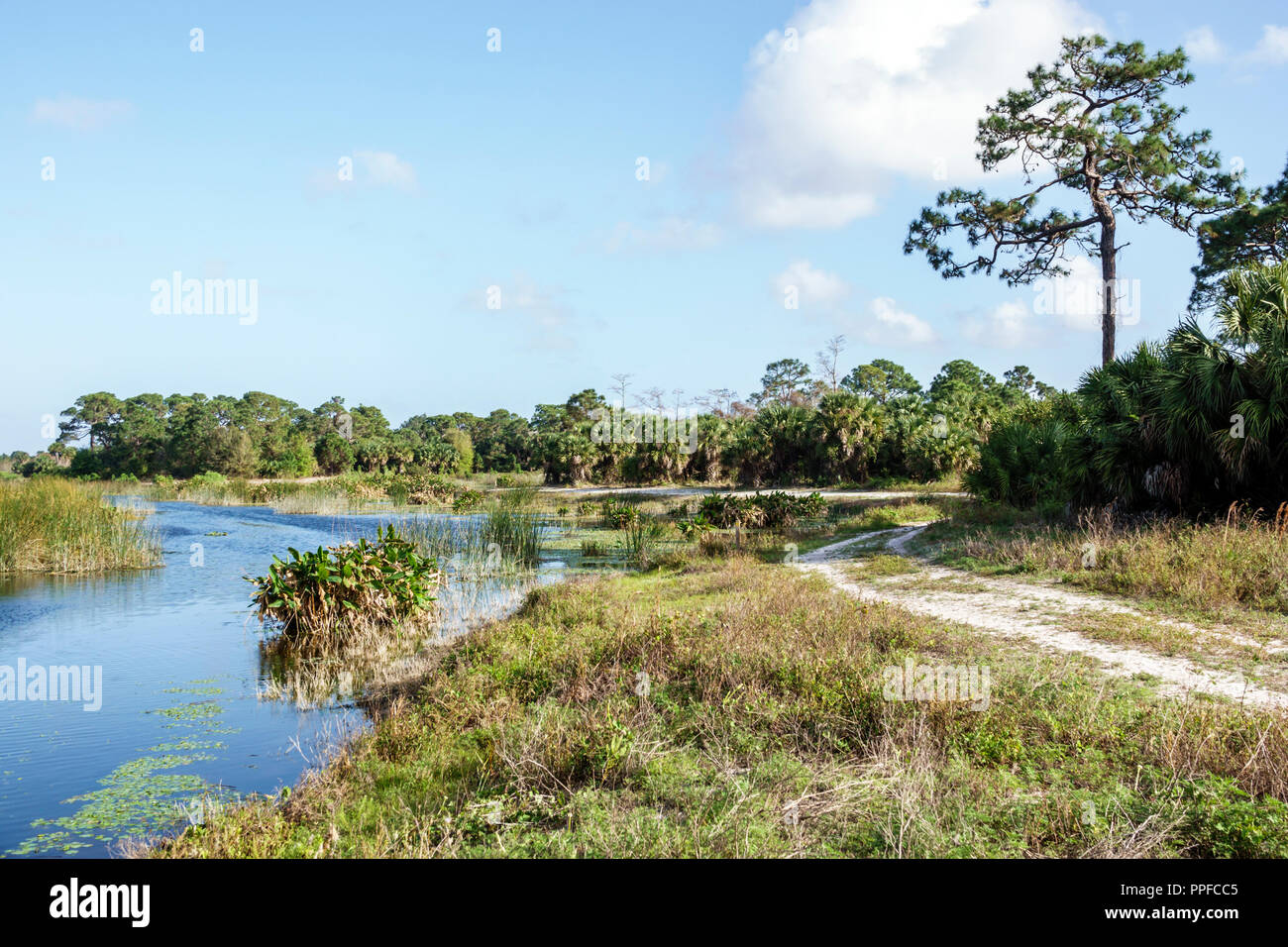 West Palm Beach Florida,Winding Waters Natural Area,wetlands ecosystem,water,FL180212141 Stock Photo