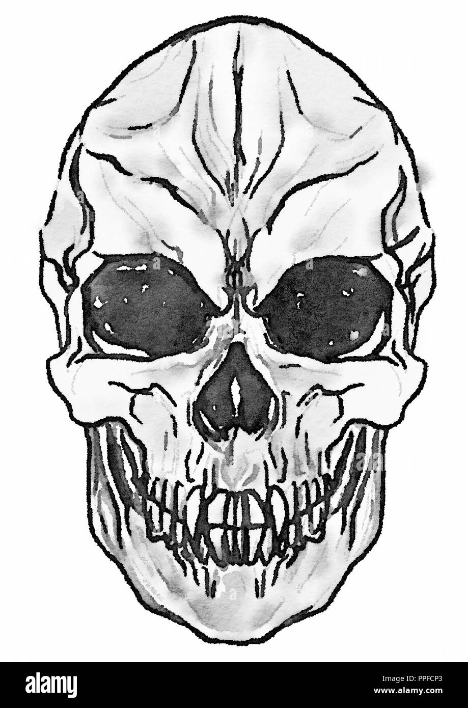 Vampire skull illustration Stock Photo - Alamy