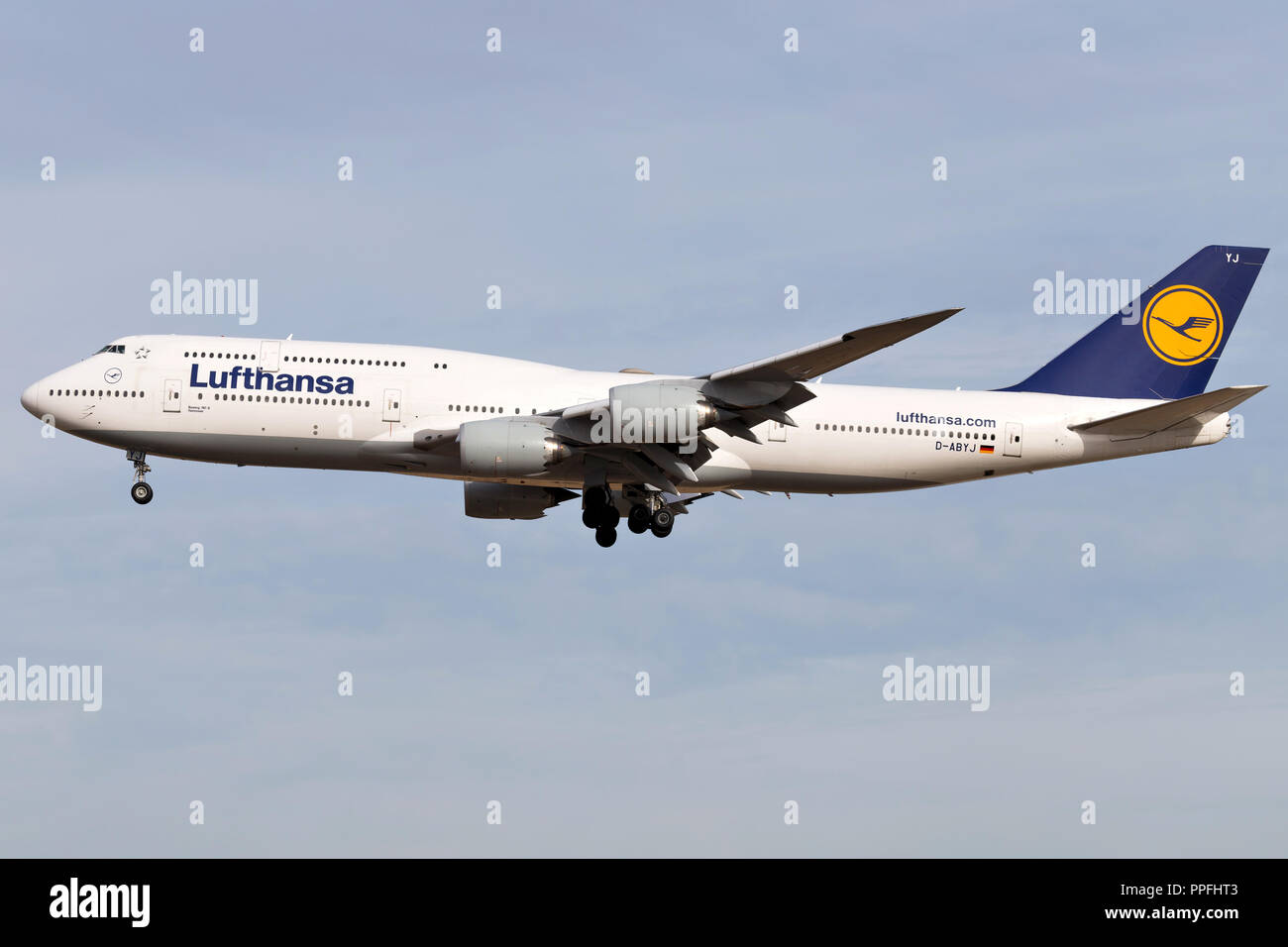 German Lufthansa Boeing 747-8 (old livery) with registration D-ABYJ on short final for runway 25L of Frankfurt Airport. Stock Photo