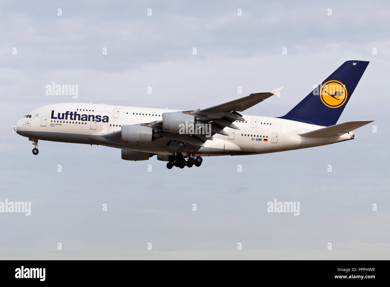 German Lufthansa Airbus A380 (old livery) with registration D-AIMF on short final for runway 25L of Frankfurt Airport. Stock Photo