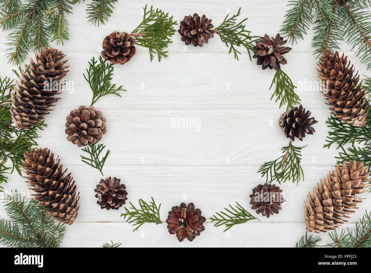 beautiful evergreen coniferous twigs and pine cones on white wooden background Stock Photo