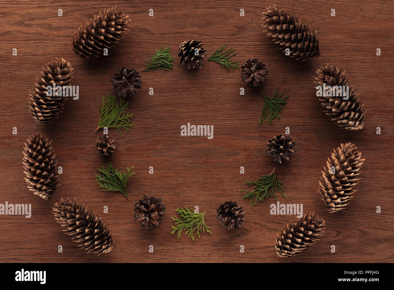 top view of beautiful evergreen coniferous twigs and pine cones on wooden background Stock Photo