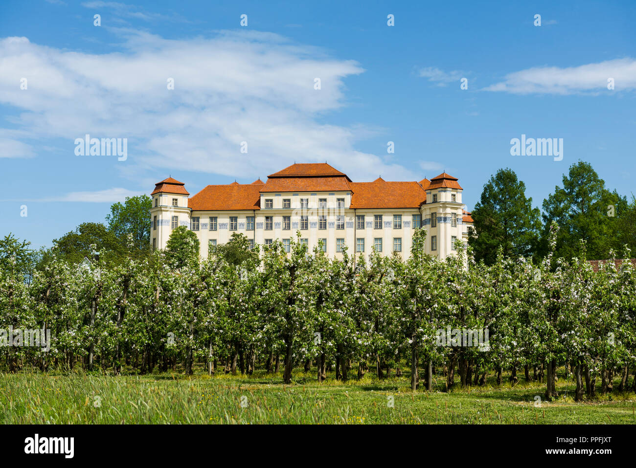 New castle and flowering fruit trees, Tettnang, Upper Swabia, Lake Constance region, Baden-Württemberg, Germany Stock Photo