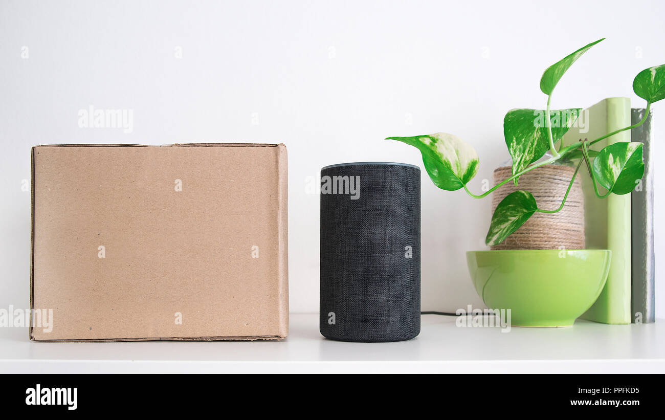 Personal assistant loudspeaker on a white wooden shelf of a smart home living room. Next, a carton box with the order, a plant and some books. Empty c Stock Photo