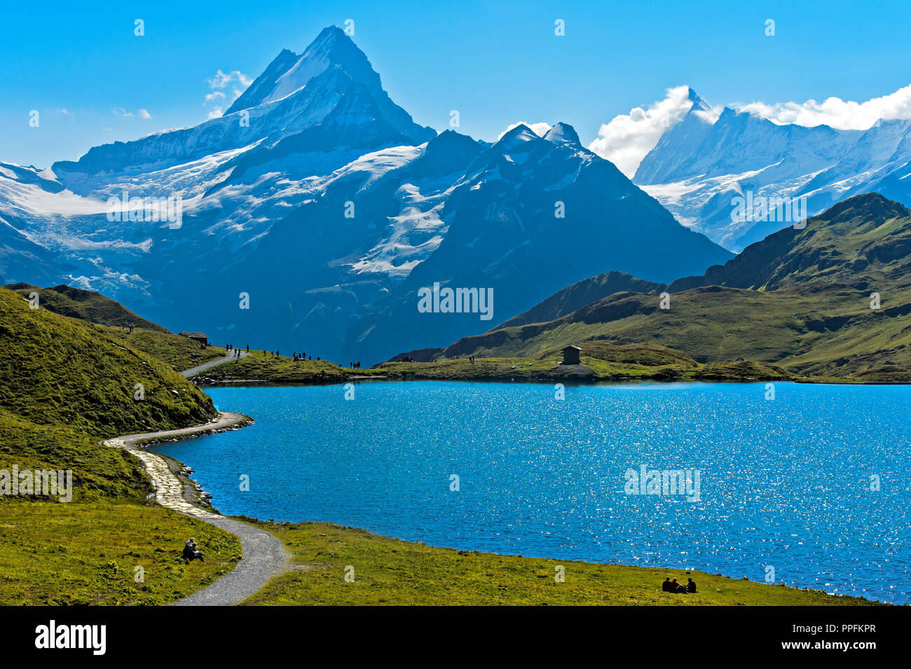 Bachalpsee and the peaks Schreckhorn and Finsteraarhorn, Grindelwald, Bernese Oberland, Switzerland Stock Photo