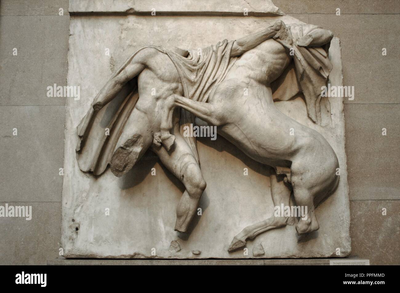 Metope VII from the Parthenon marbles depicting part of the battle between the Centaurs and the Lapiths. 5th century BC. Athens. British Museum. London. United Kingdom. Stock Photo