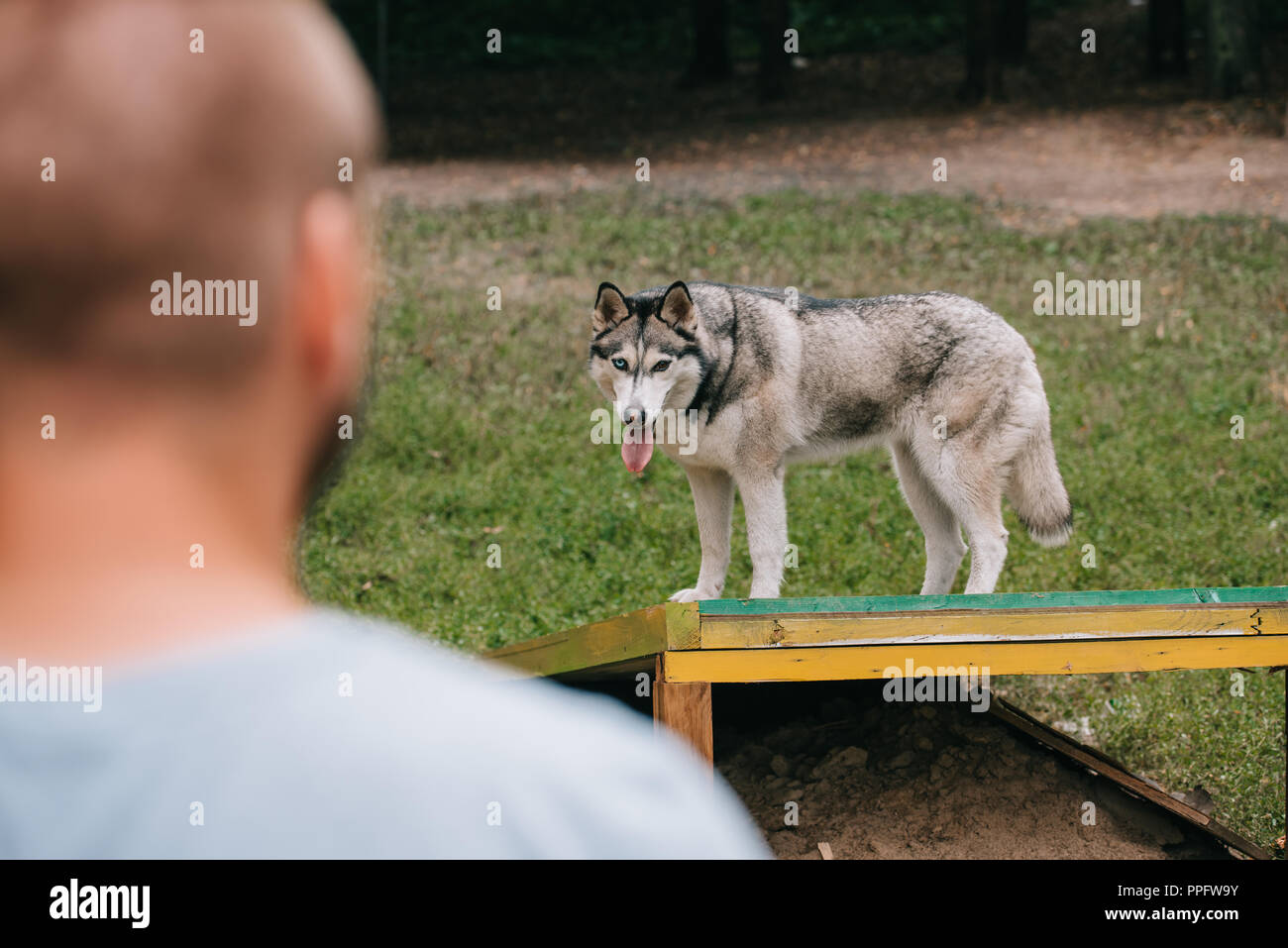 Obedience Class High Resolution Stock Photography And Images Alamy