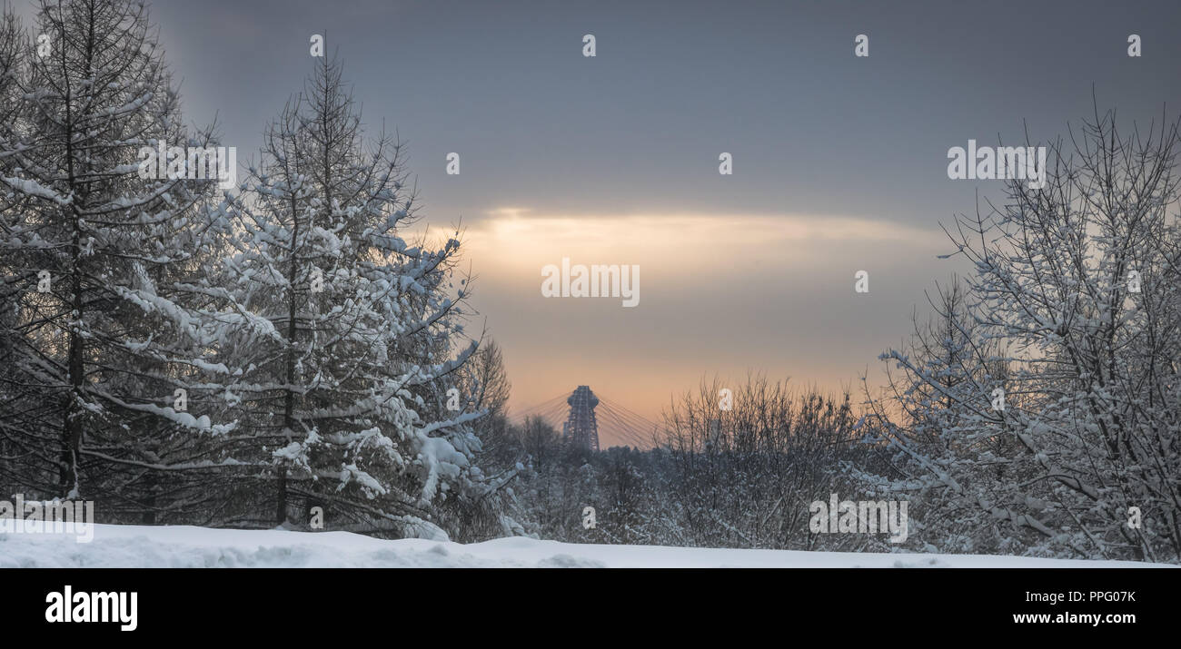 Frosty winter morning snow forest landscape with modern urban city buildings on horizon in cold frost winter day Stock Photo