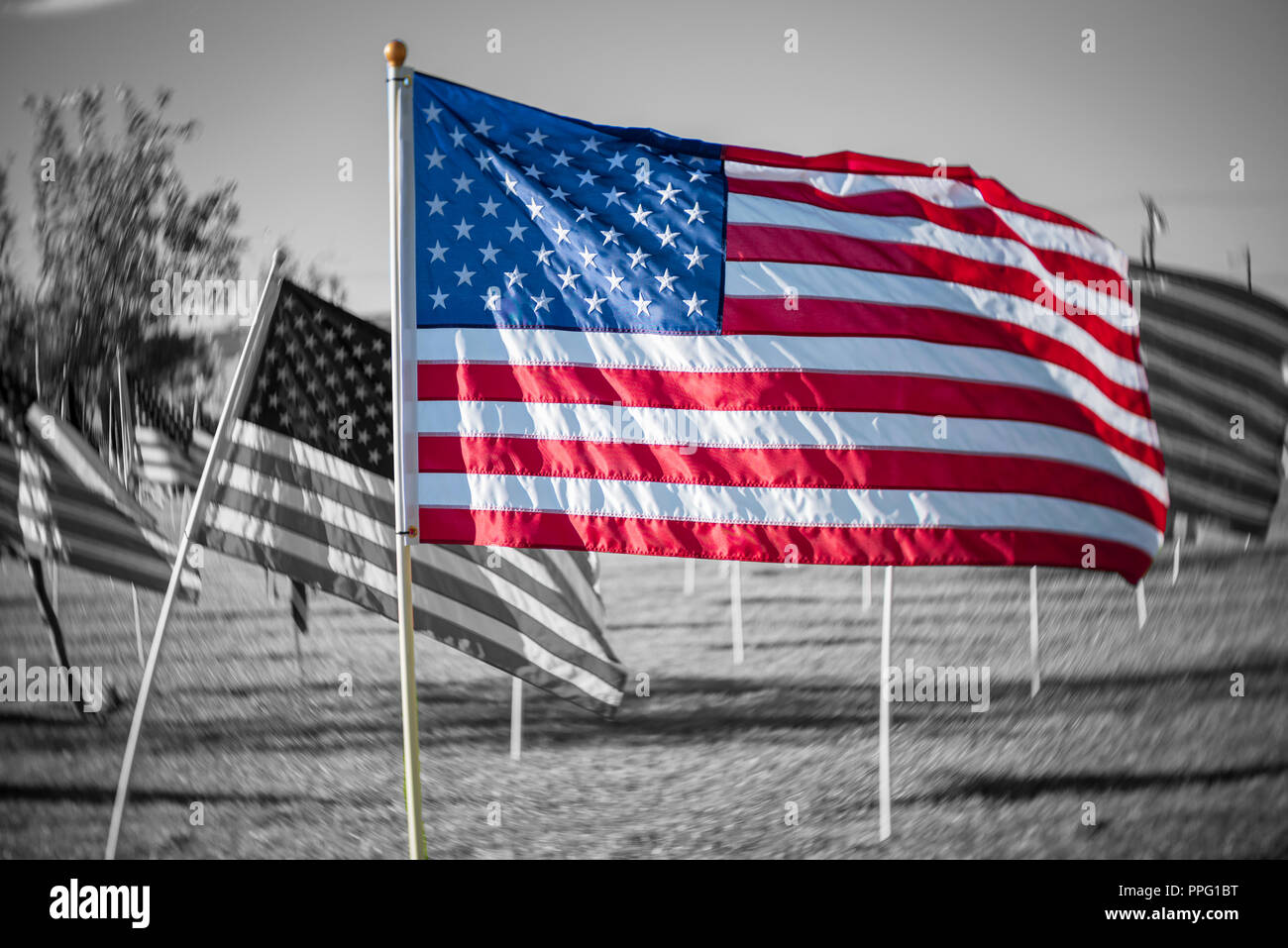 Free Printable Us Flag Coloring Pages