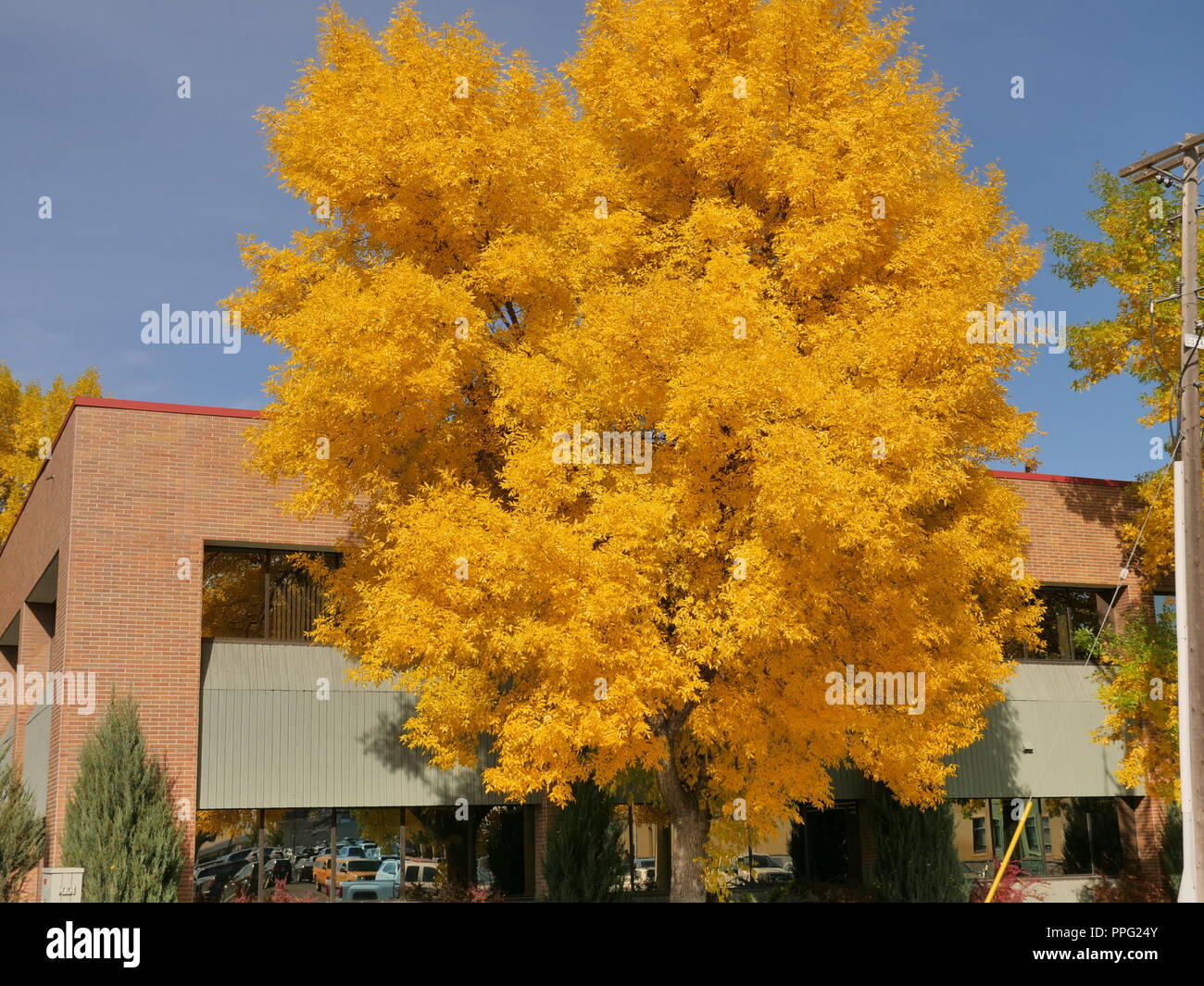 Autumn colors and scenes Stock Photo