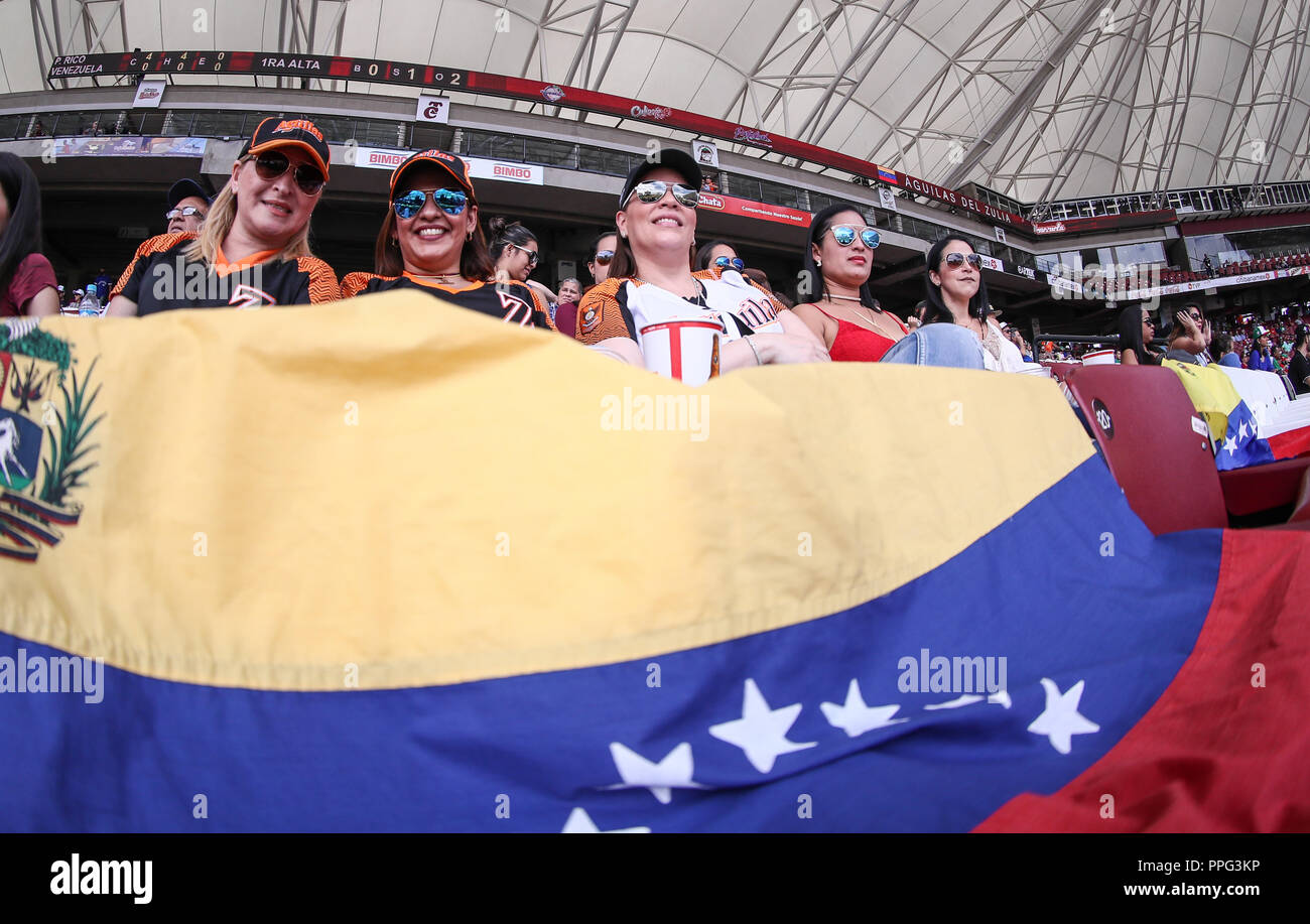 Aficionados de Venezuela apoyando a su equipo , durante partido semifinal de la Serie del Caribe en el nuevo Estadio de los Tomateros en Culiacan, Me Stock Photo