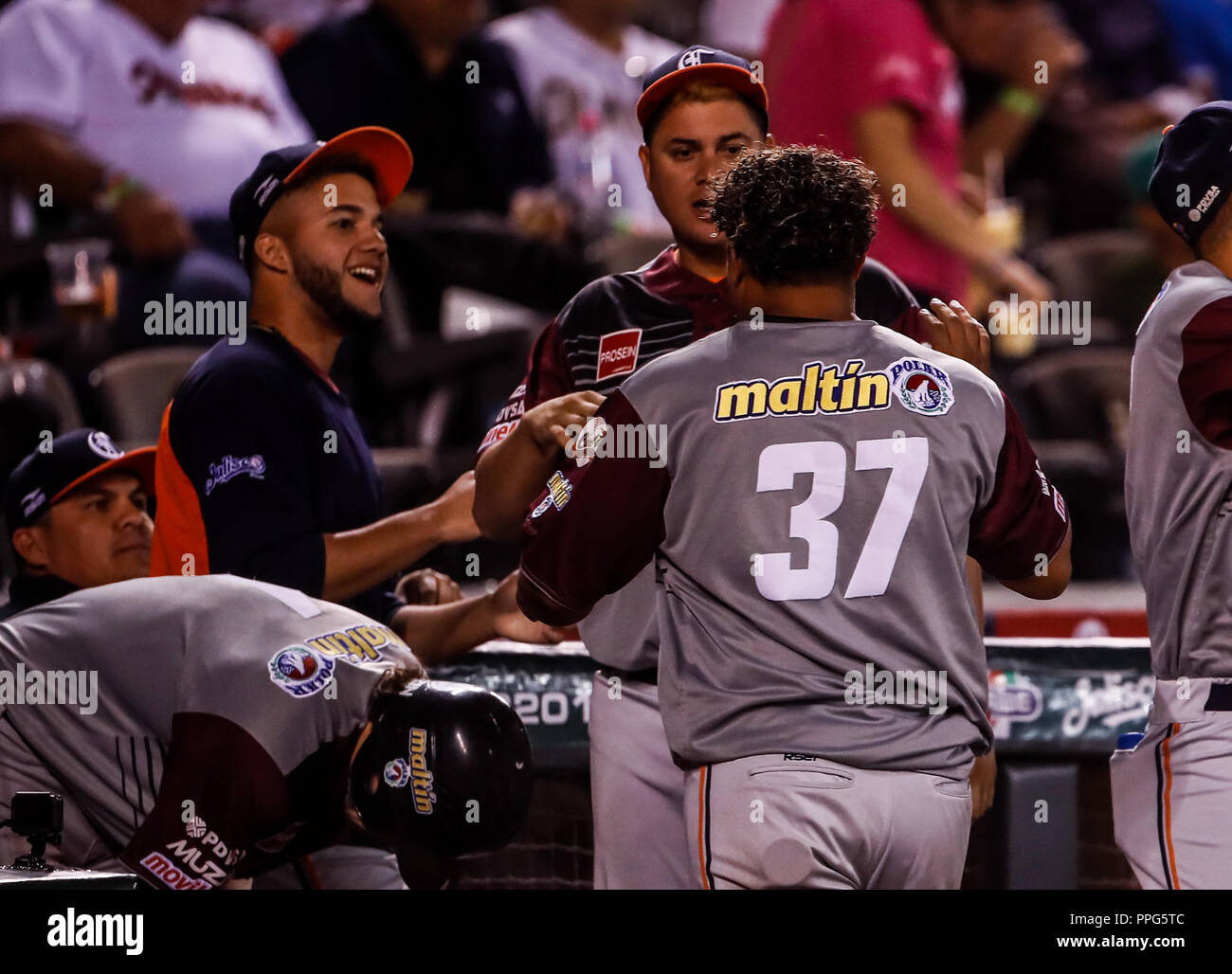 Williams Astudillo, durante el partido de beisbol de la Serie del Caribe con el encuentro entre Tomateros de Culiacan de Mexico contra los Caribes de  Stock Photo