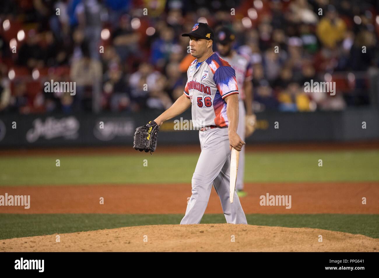 Raul Valdes, pitcher inicial de Águilas Cibaeñas de Republica Dominicana, entrega un bat que quebró Ruben Goptay de los Criollos de Caguas de Puerto R Stock Photo