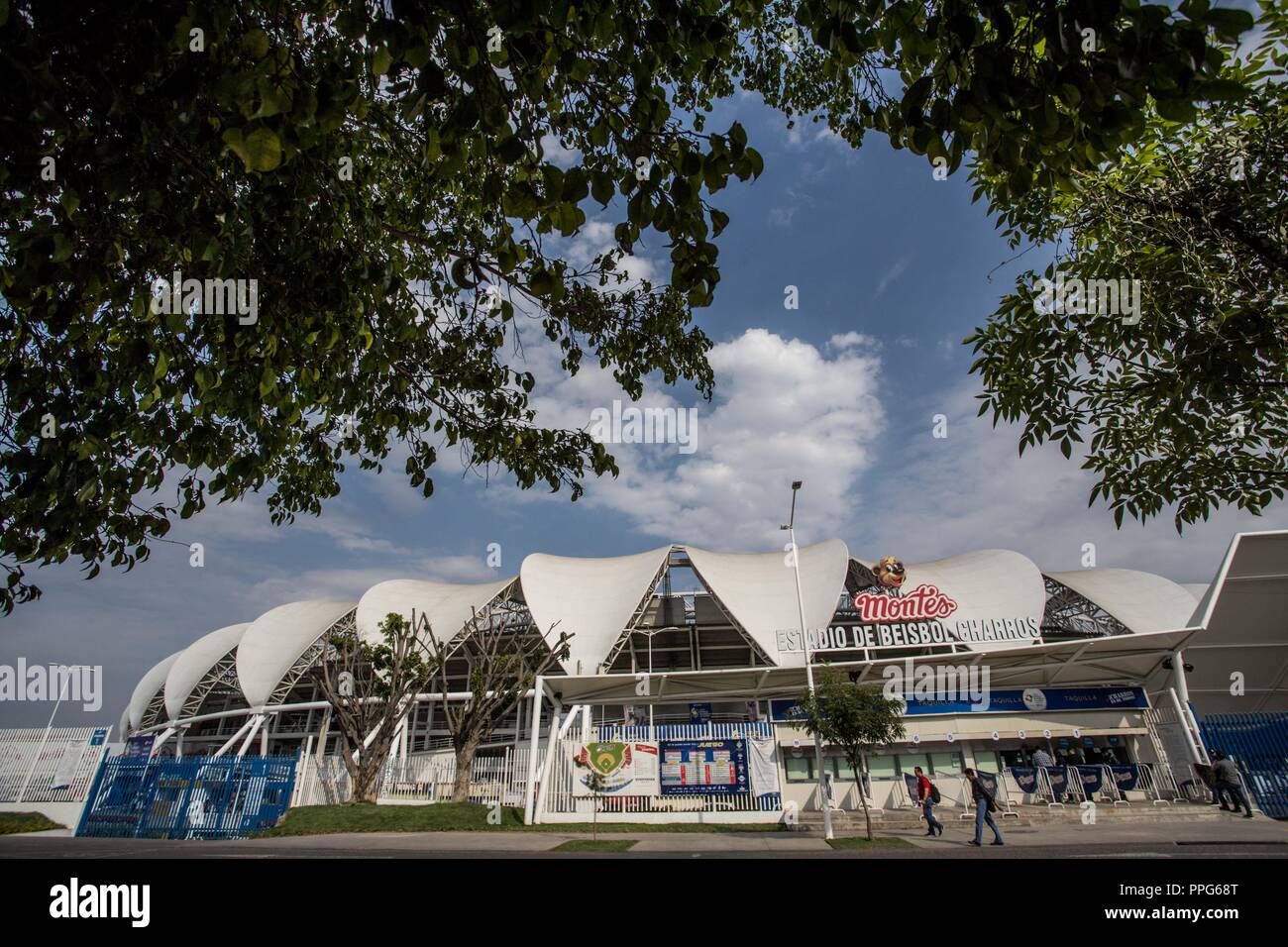 Baseball, Beisbol, WBC, WBC 2017, WBC EXICO, World Baseball Classic