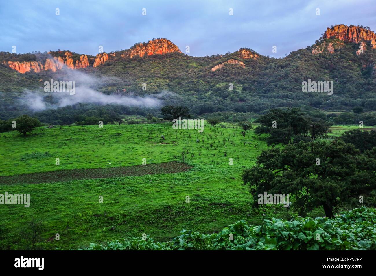 Rancho santa Barbara y Reserva Monte Mojino de la Natural Culture
