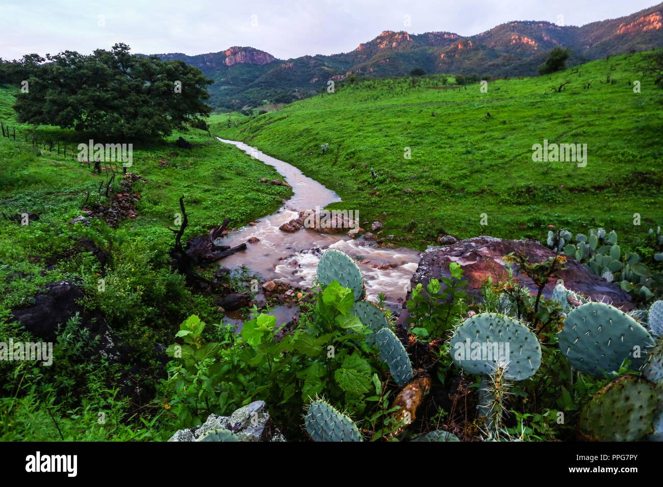 Rancho santa Barbara y Reserva Monte Mojino de la Natural Culture