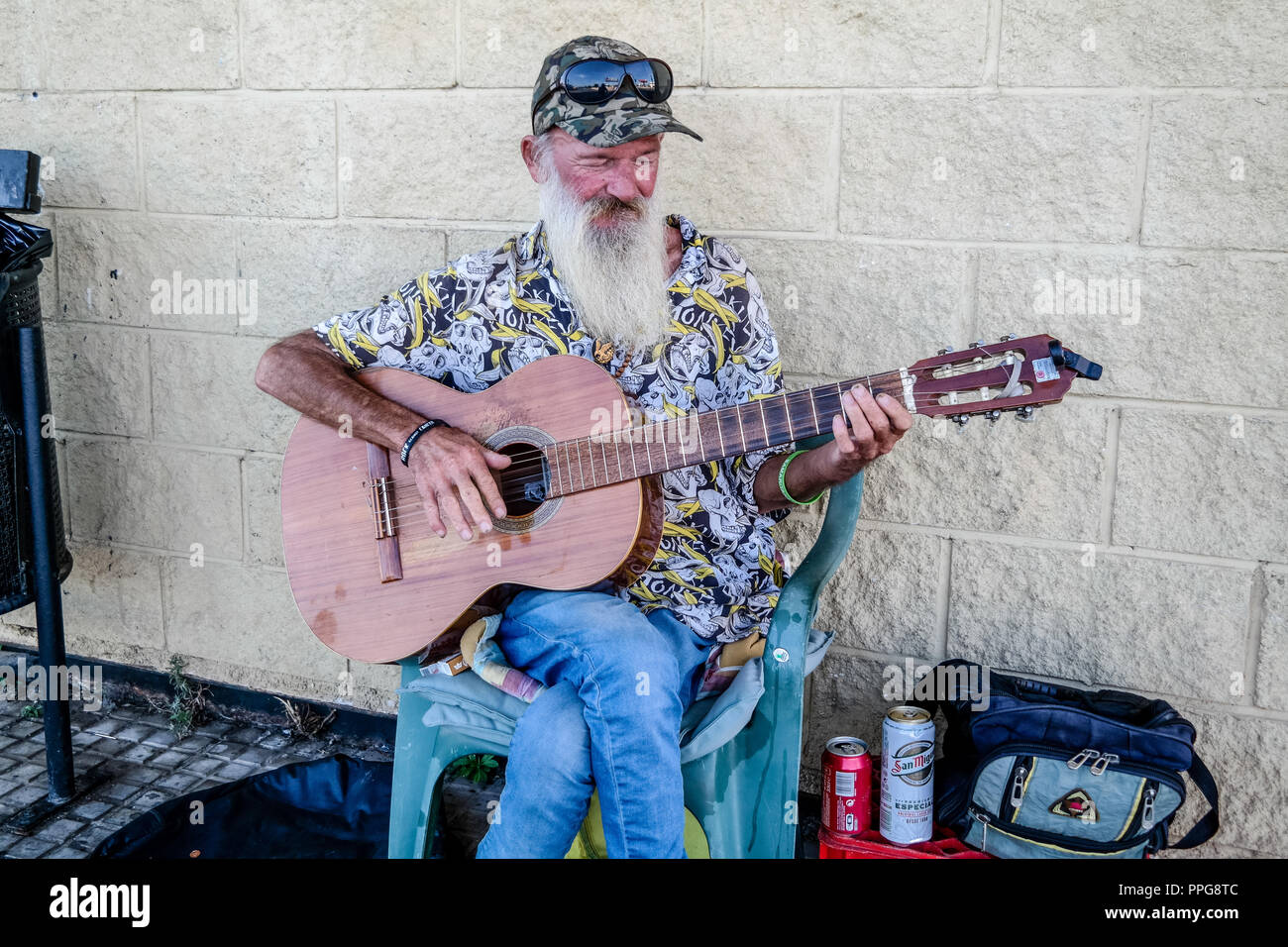 Merlin plays Guitar Stock Photo Alamy