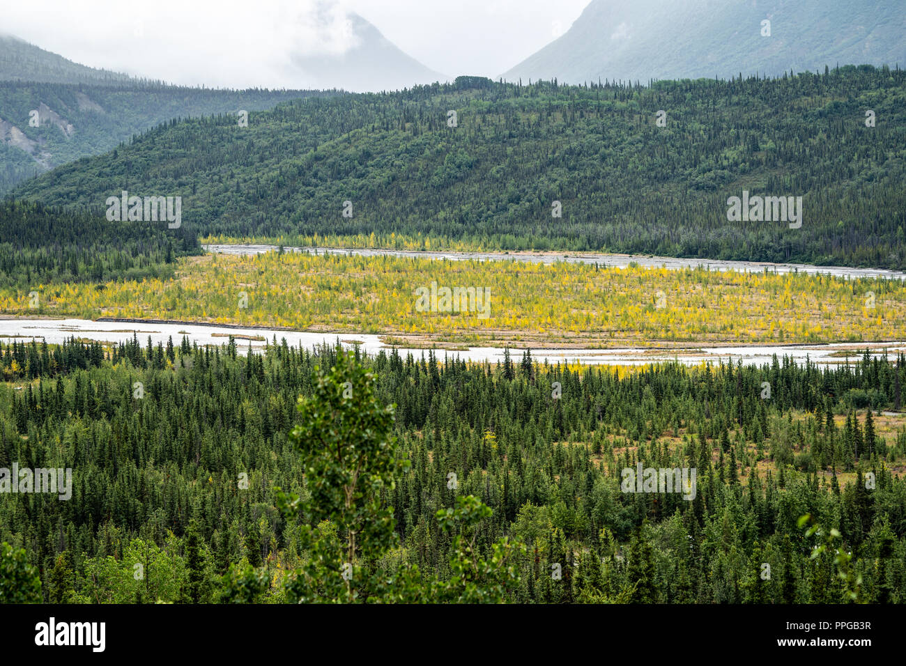 View of the Mantanuska River from the Mantanuska glacier area. Beautiful fall colors in the boreal forest Stock Photo