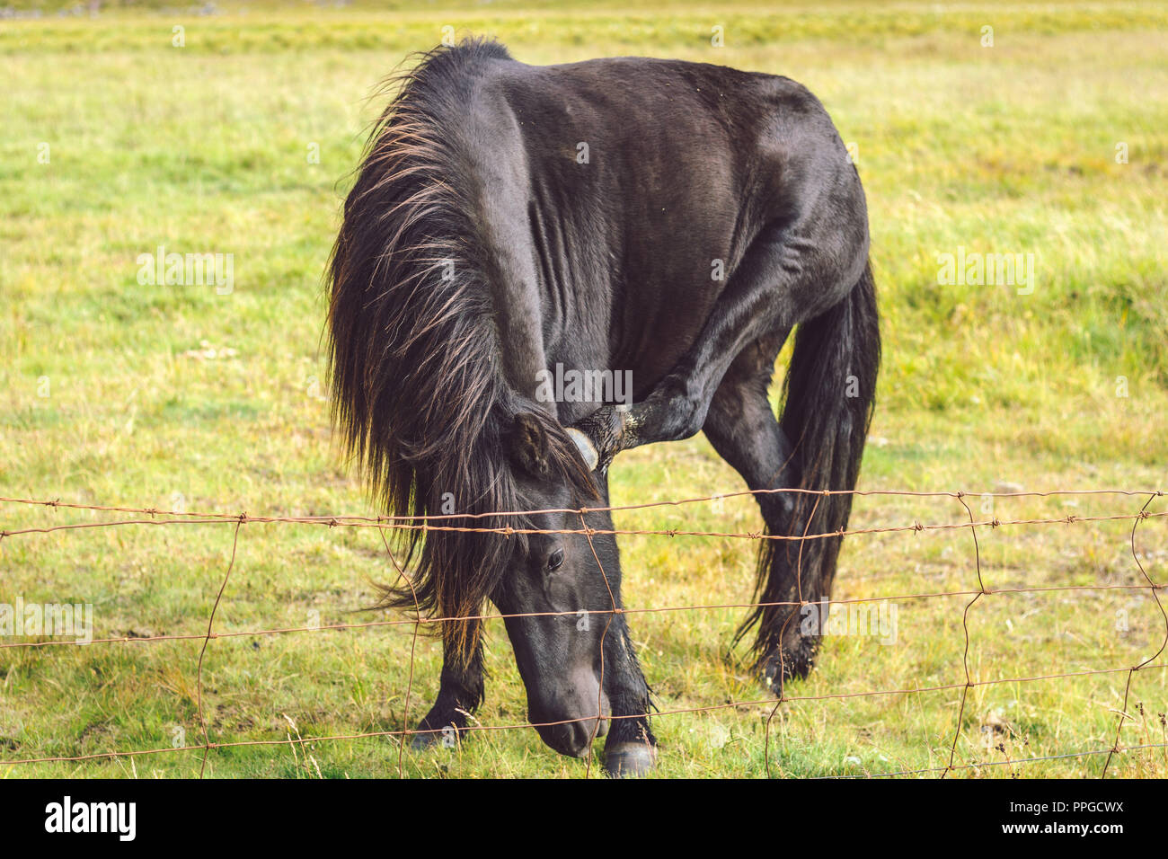 Wonders of Iceland Stock Photo