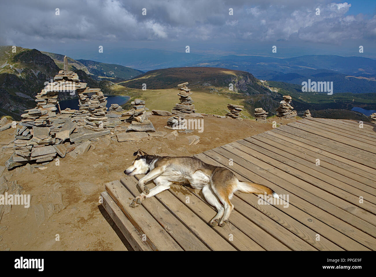 dog lying down at top of mountain with view of lakes Stock Photo