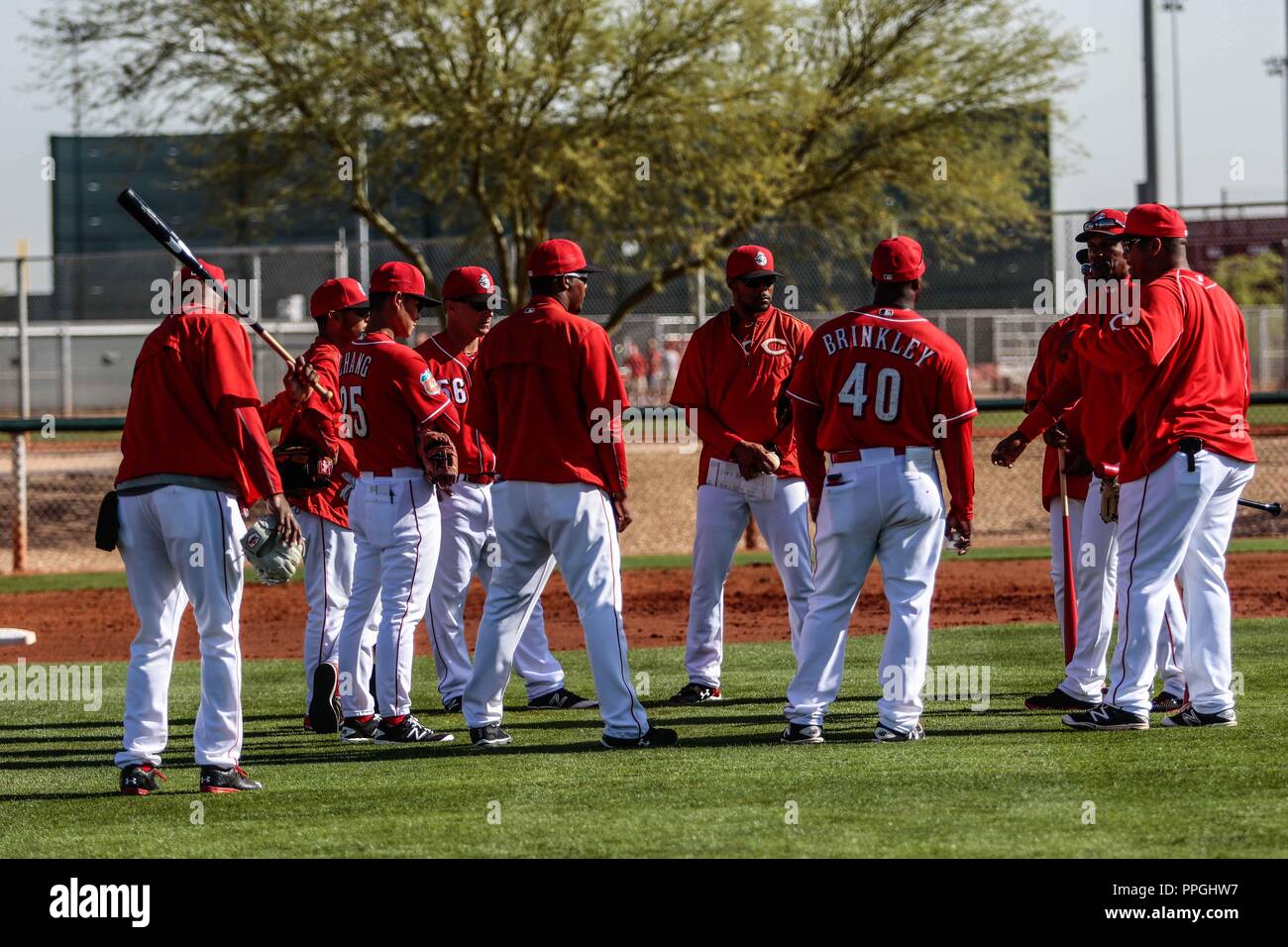 reds los rojos jersey