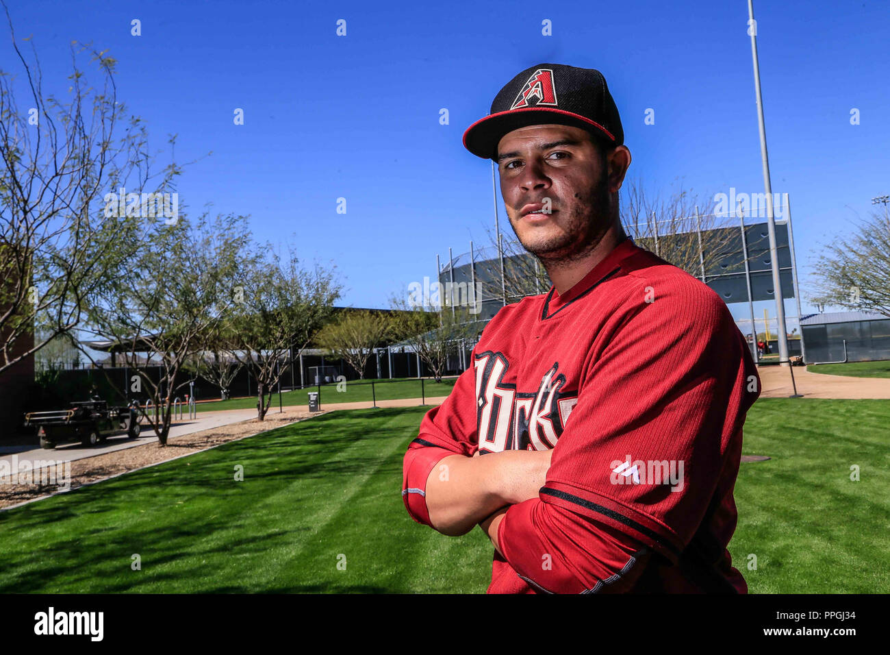 Mexican infielder Walter Ibarra, who seeks to make his major league debut with the Diamondbacks Stock Photo