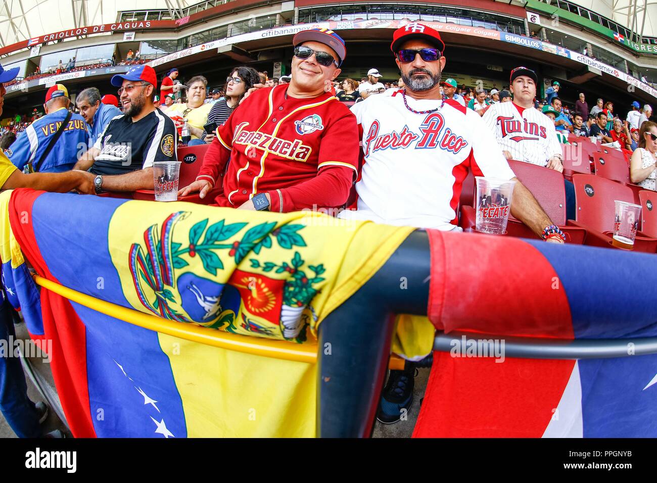 Aficionados de Venezuela y Puerto Rico , durante el partido de beisbol
