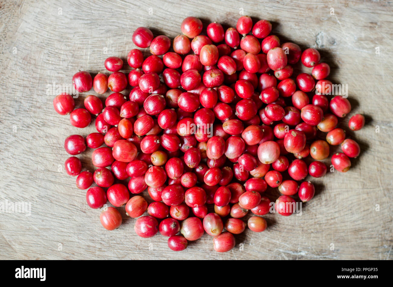 Ripe coffee cherries on a bowl Stock Photo