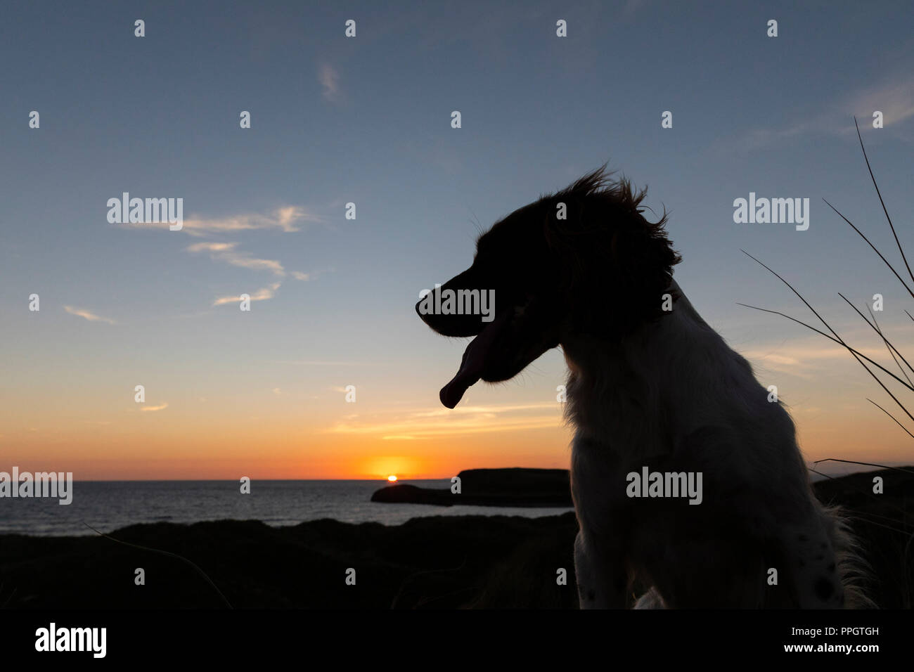 Gower Peninsula, Swansea, UK. 24th September 2018. UK Weather. Sunset