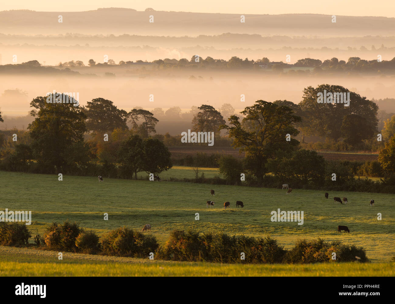 Wiltshire, UK. 26th September 2018, Monkton Farleigh Wiltshire. Cooler overnight temperatures created stunning mist and fog patches that settled in the rural landscape of Monkton Farleigh and beyond into Wiltshire. The rising sun caused the fog to glow orange initially before fading to white as the track of the sun rose higher. credit: Wayne Farrell/Alamy Live News Stock Photo