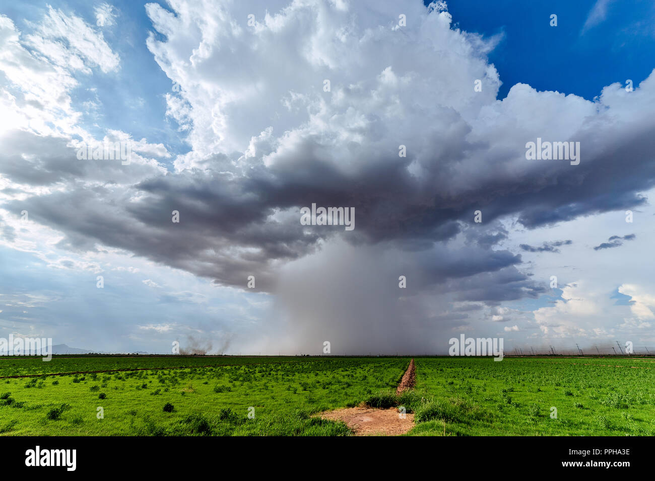A summer thunderstorm cumulonimbus cloud with rain falling over a farm field near Coolidge, Arizona Stock Photo