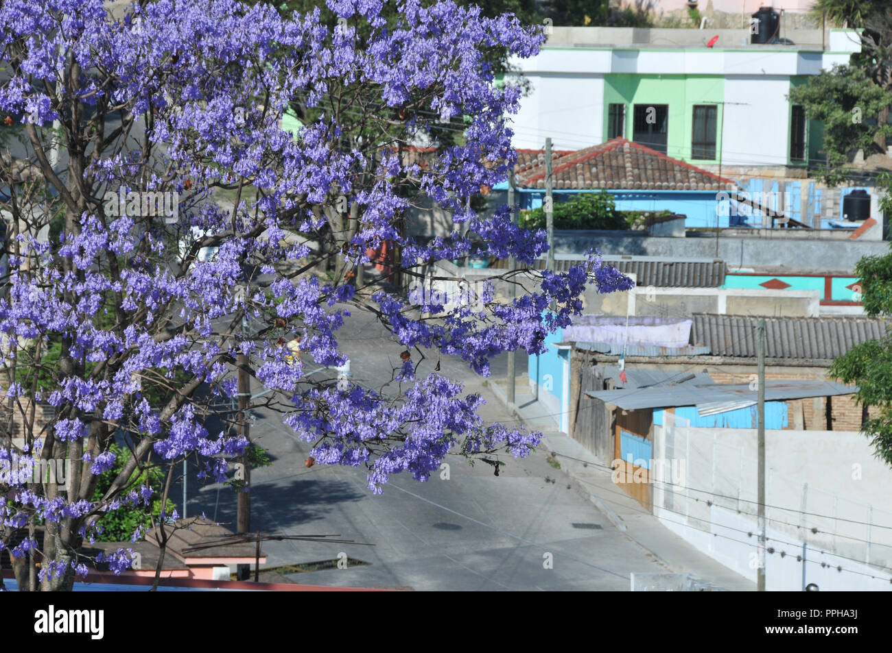 Indegenious of mexico hi-res stock photography and images - Alamy