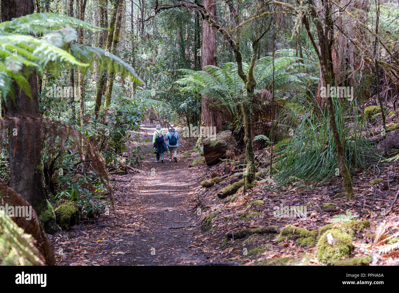 Hobart australia walk hi-res stock photography and images - Alamy