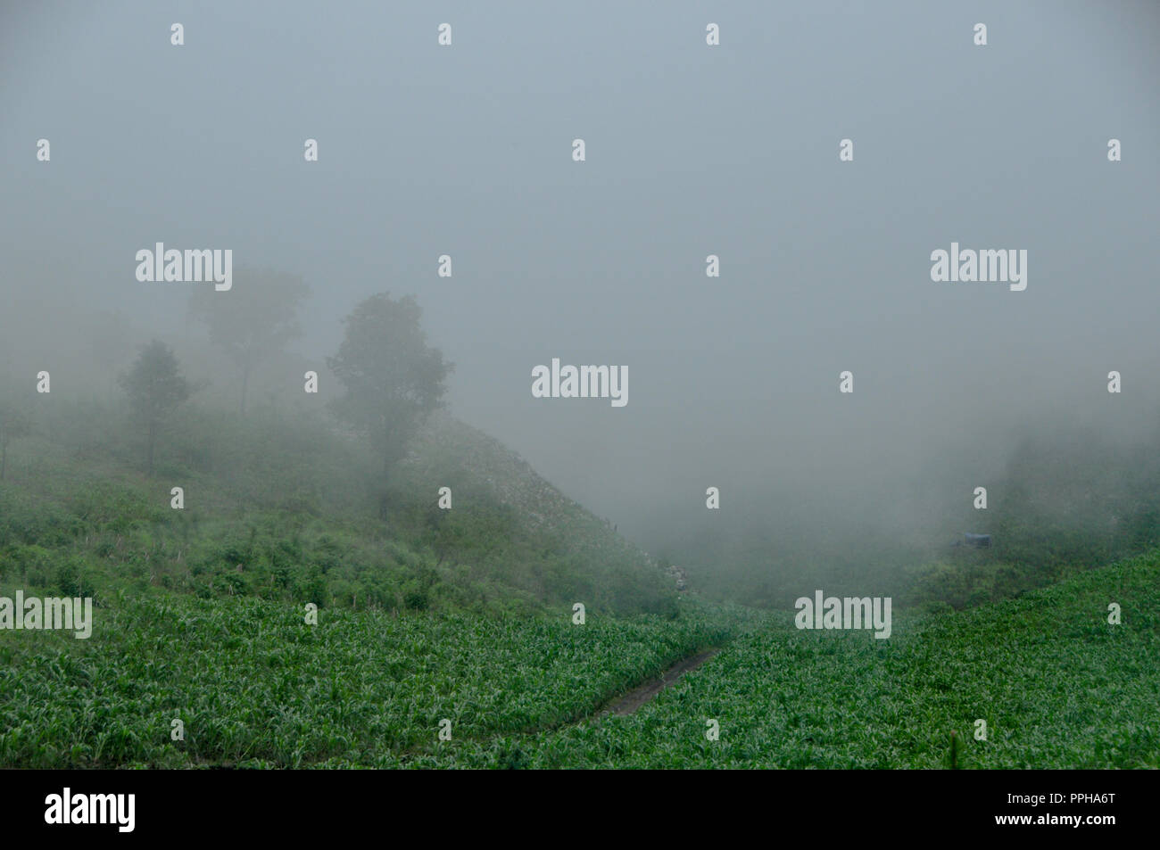 Indegenious Of Mexico High Resolution Stock Photography and Images - Alamy