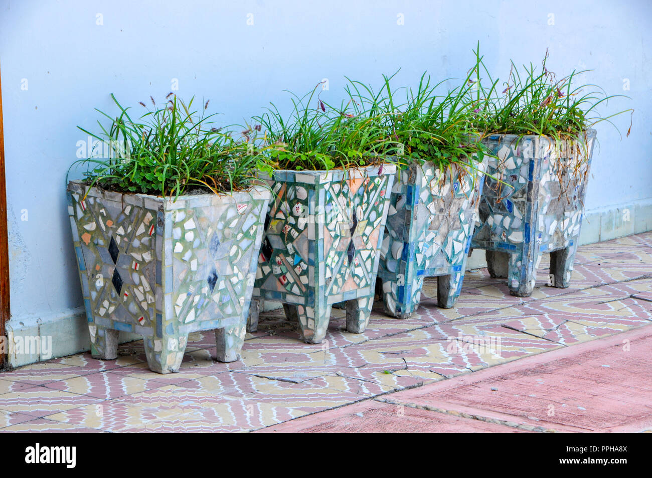 Indegenious Of Mexico High Resolution Stock Photography and Images - Alamy