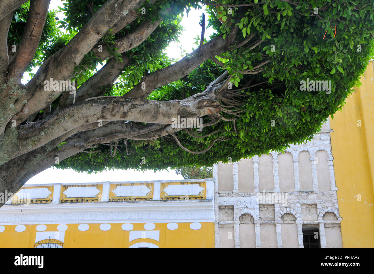 Indegenious of mexico hi-res stock photography and images - Alamy