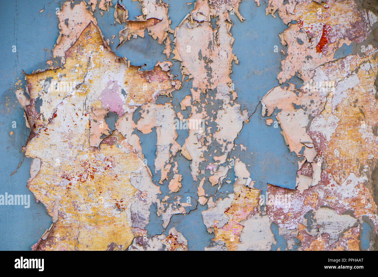 Indegenious Of Mexico High Resolution Stock Photography and Images - Alamy