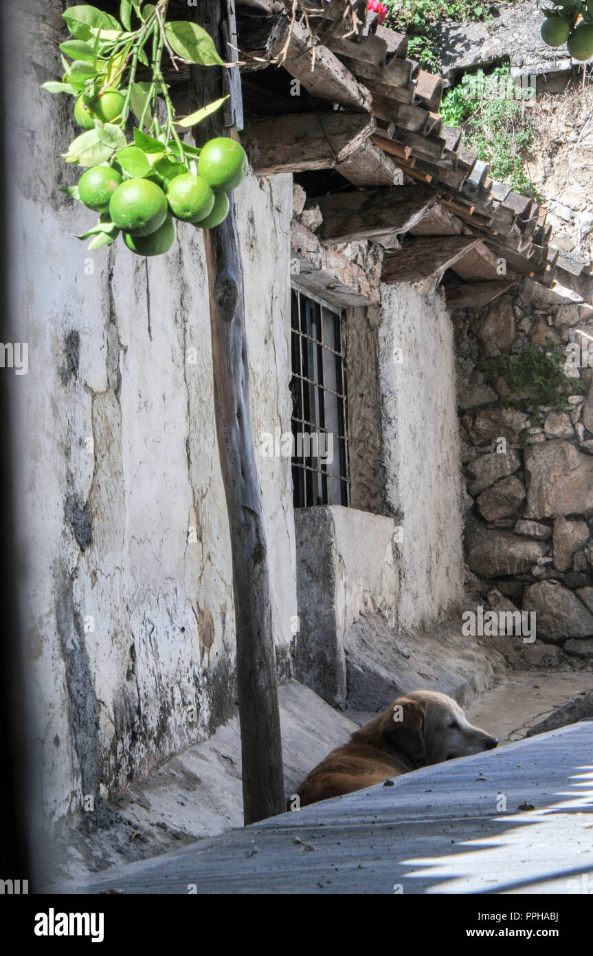 Indegenious of mexico hi-res stock photography and images - Alamy
