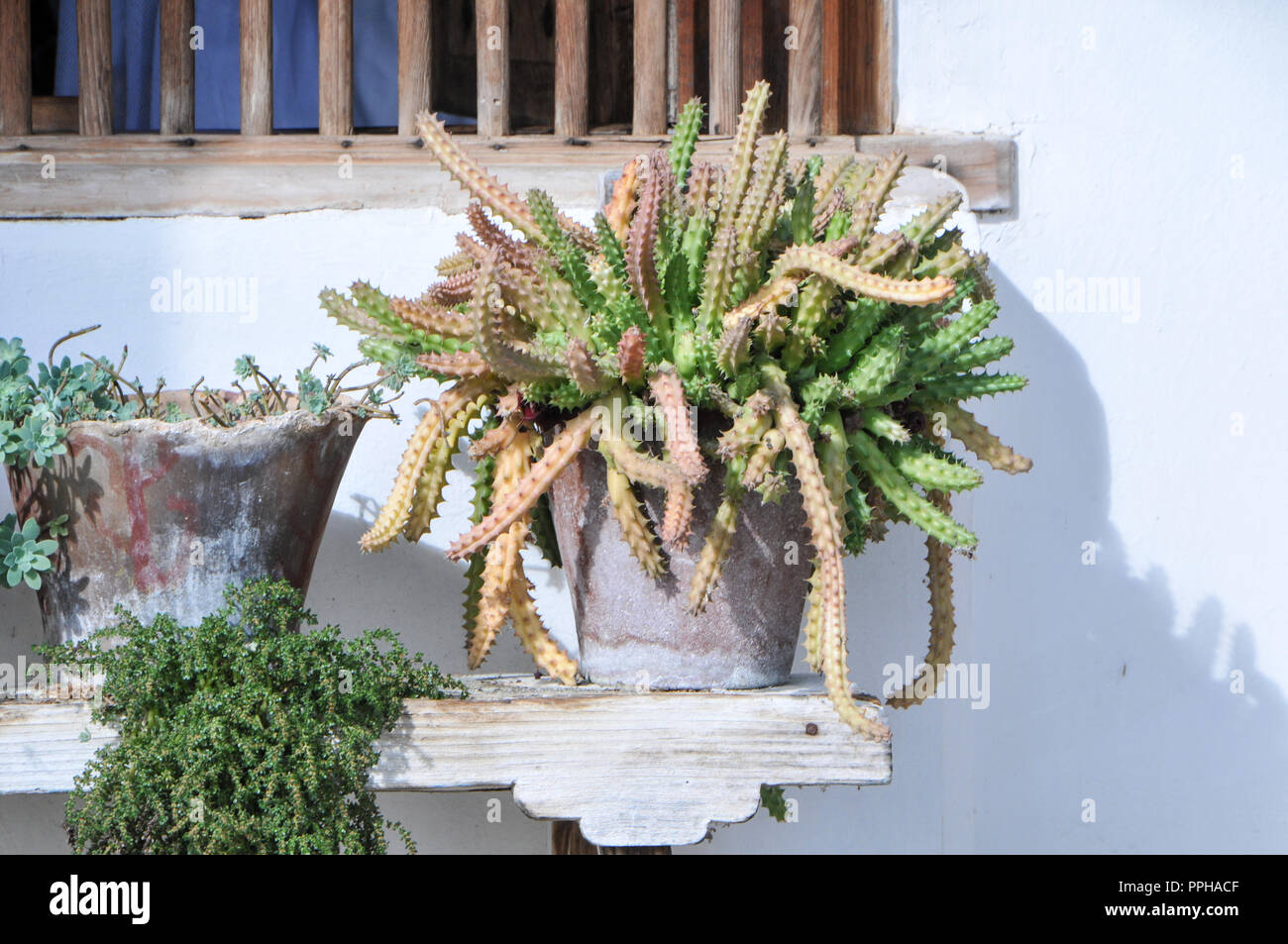 Indegenious of mexico hi-res stock photography and images - Alamy