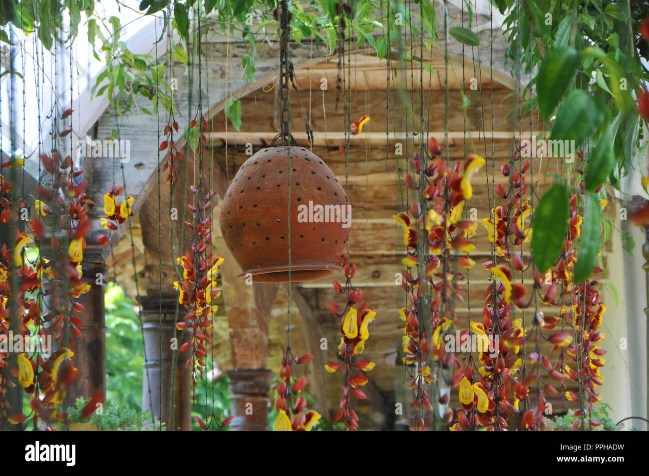 Indegenious of mexico hi-res stock photography and images - Alamy