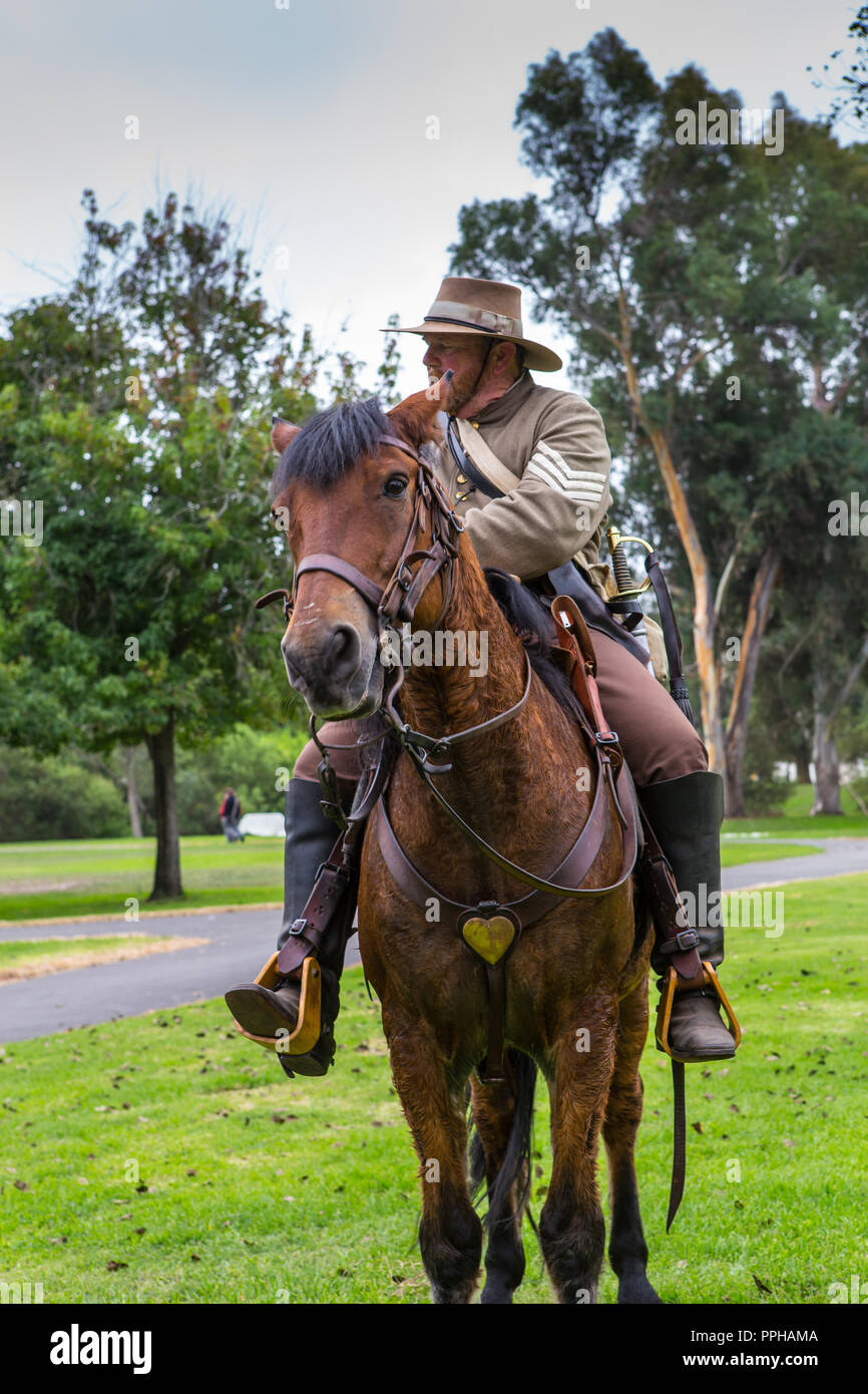Confederate soldier on horseback hires stock photography and images
