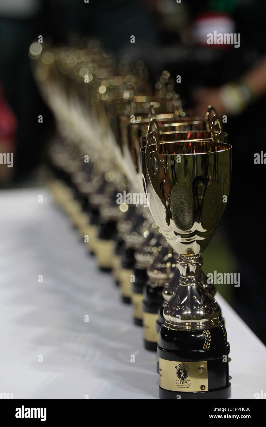 Trofeos de la Serie del caribe 2013. El equipo de Mexico se corono campeón  de la Serie del caribe 2013 en duelo contra República Dominicana que duro  Stock Photo - Alamy