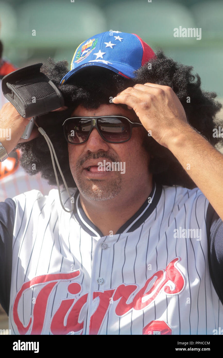 fans de Republica Dominicana durante la Serie del Caribe 2013 de