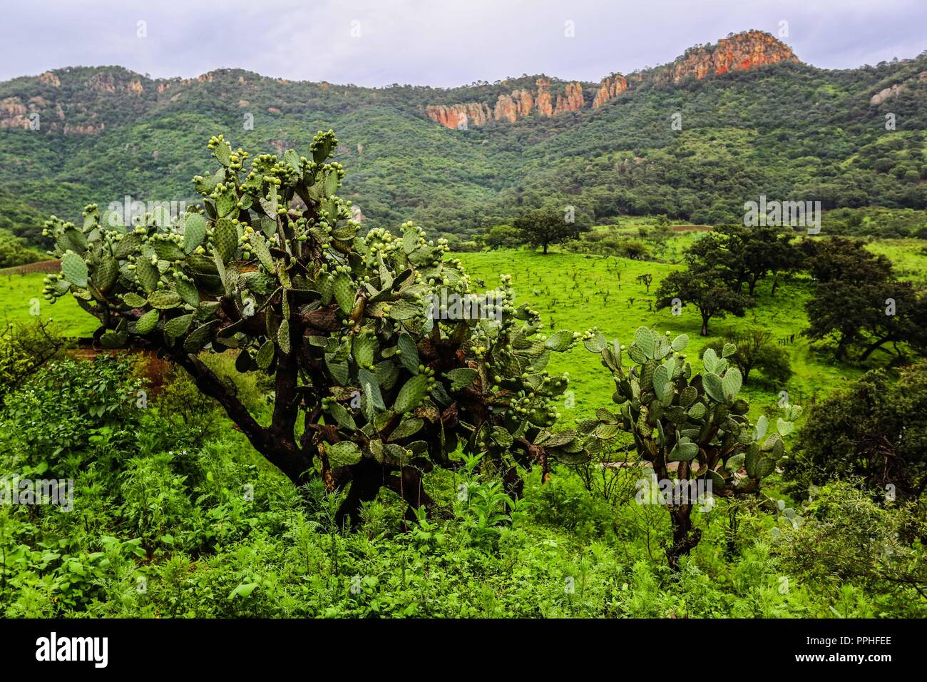Rancho santa Barbara y Reserva Monte Mojino de la Natural Culture