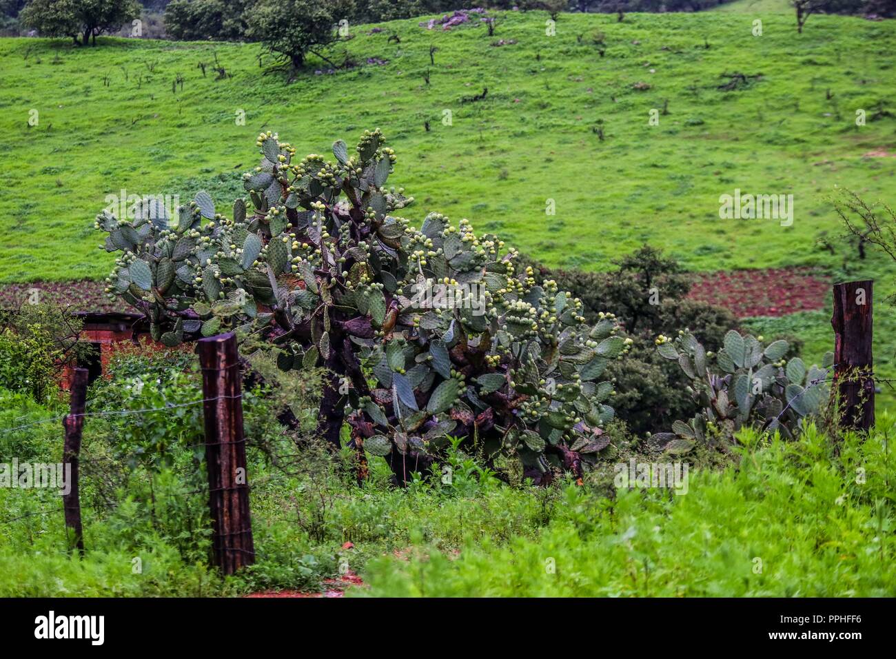 Rancho santa Barbara y Reserva Monte Mojino de la Natural Culture