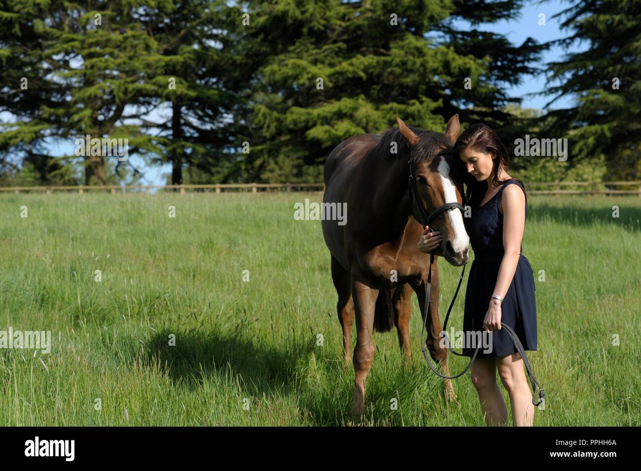 Beautiful girl with horse in a field Stock Photo Alamy