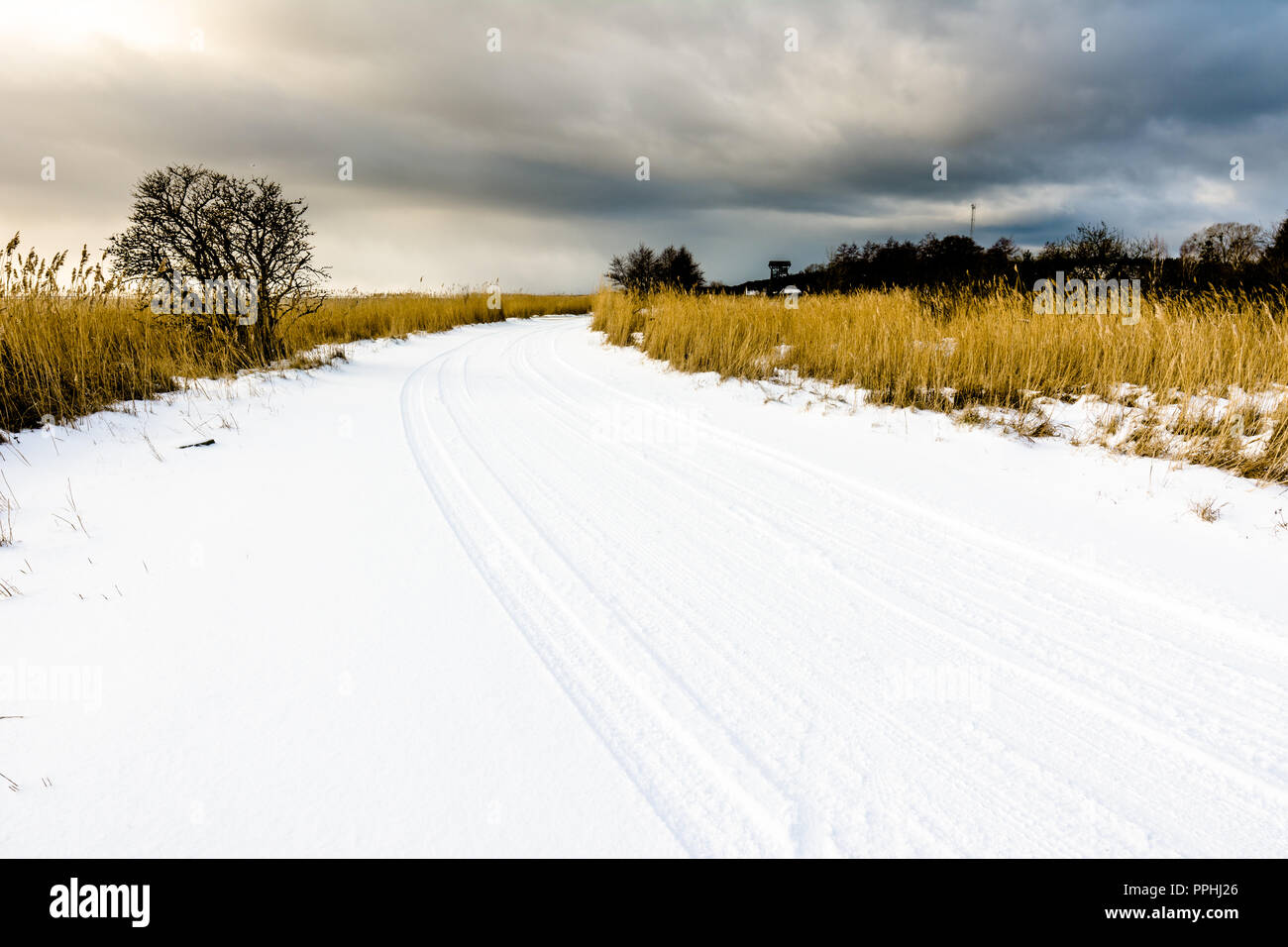Snow on road, winter landscape with moody sky before sunset over lake ...
