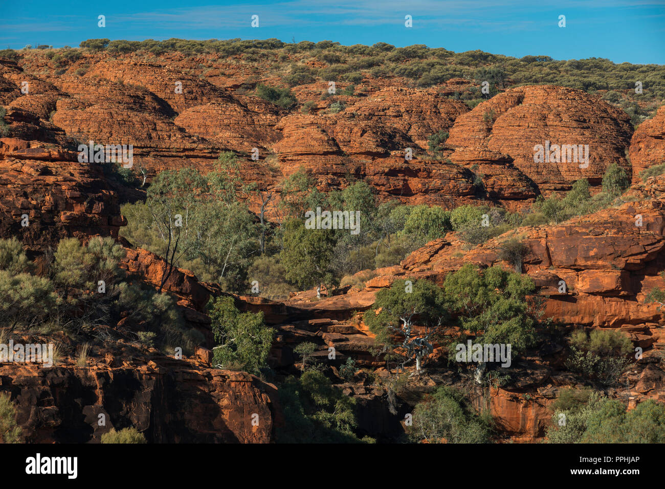 Kings Canyon Watarrka National Park Nothern Territory Australia Stock Kings Canyon Watarrka National Park Nothern Territory Australia Stock