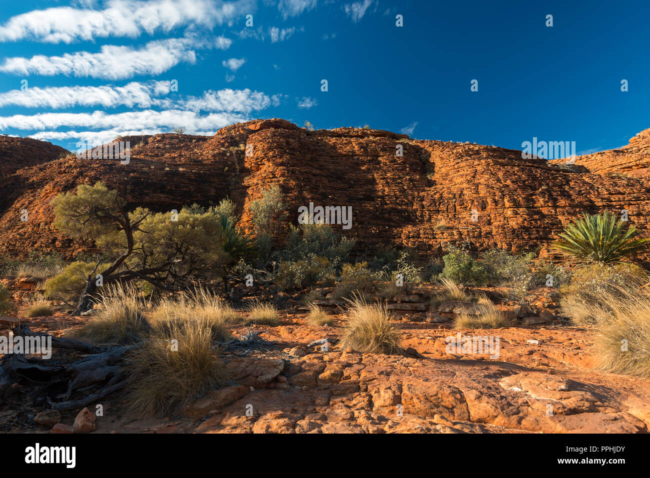 Kings Canyon Watarrka National Park Nothern Territory Australia Stock kings-canyon-watarrka-national-park-nothern-territory-australia-stock
