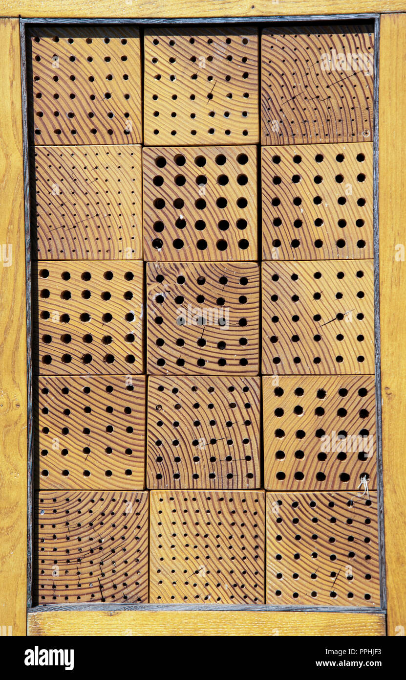 Composition of a rectangle with wooden cubes with holes of various ...